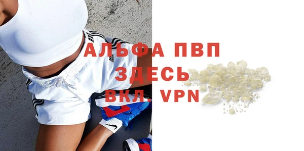 индика Аркадак