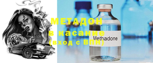 индика Аркадак