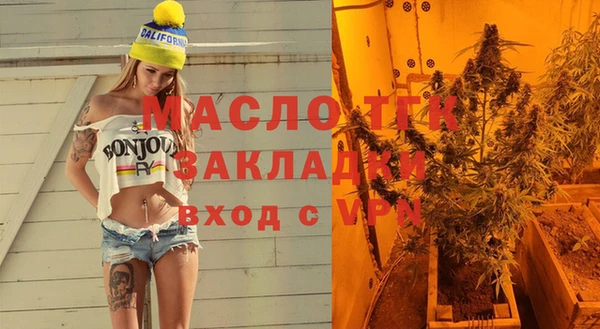 индика Аркадак
