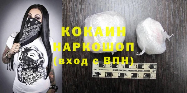 индика Аркадак
