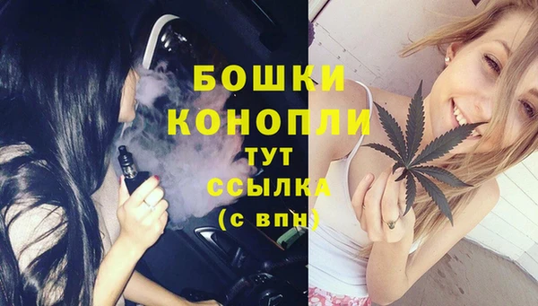 индика Аркадак