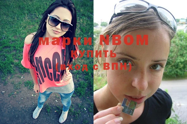 индика Аркадак