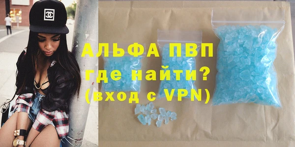 индика Аркадак