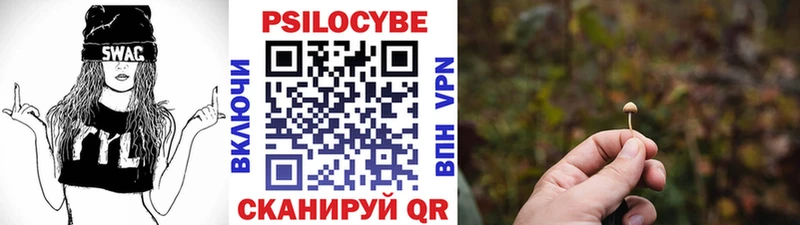 Галлюциногенные грибы Cubensis  купить   Себеж 