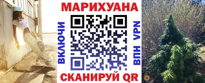 МАРИХУАНА сатива  Себеж 